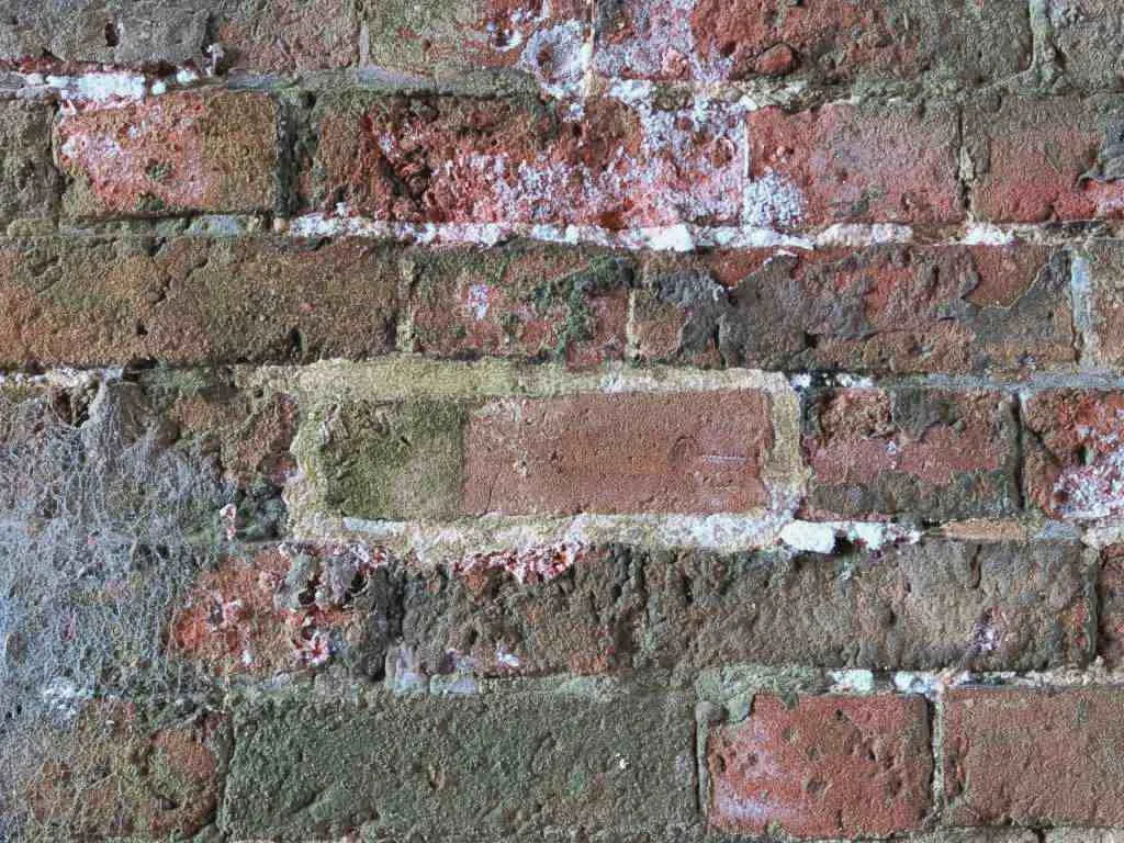 Close view of spalled red bricks with crumbling faces and white salt deposits along the mortar joints